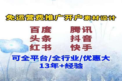 案例研究：SEM开户助力电商快速崛起